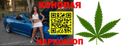 трава Партизанск