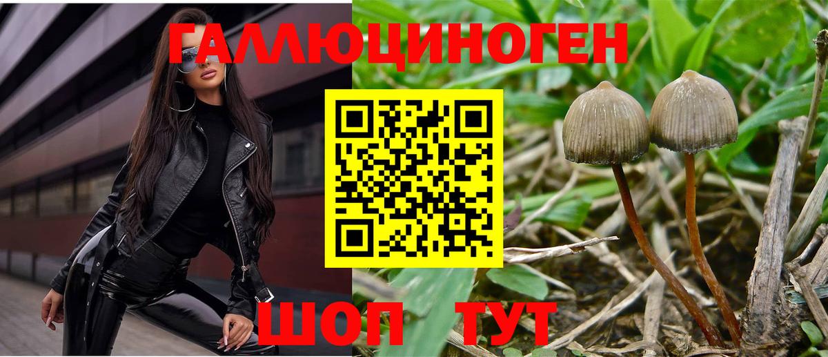 Галлюциногенные грибы GOLDEN TEACHER Унеча